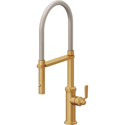 Culinary Pull-Out Kitchen Faucet With Button Sprayer