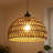 Derica 1 - Light 13.78in. Plug-In Woven Rattan Dome Pendant with Rope Accents Boho Style, 14.76 feet Cord-1104480569-1127947594