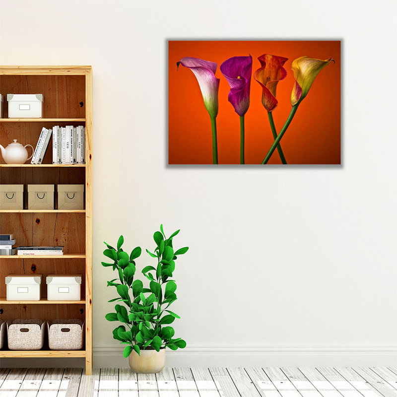 «Four Calla Lilies 4», reproduction d'art sur toile, H 18 po x l 24 po