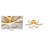 6-Light Dimmable Brass LED Flush Mount With White Acrylic Diffusers