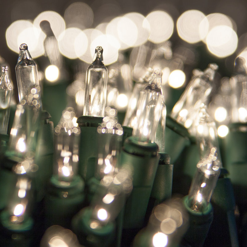 606'' String Lights, Clear