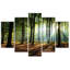 Forest Green In Nature - 5 Piece No Frame Print on Canvas