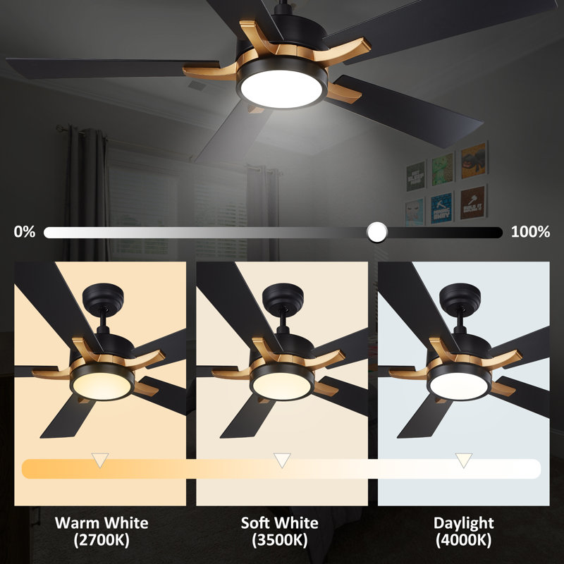Briyan Ceiling Fan with LED Lights, Black