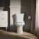 Highline™ 1.28 GPF Water Efficient Elongated Two-Piece Toilet (Seat Not Included)