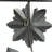 Farmhouse Plants & Flowers Wall Decor
