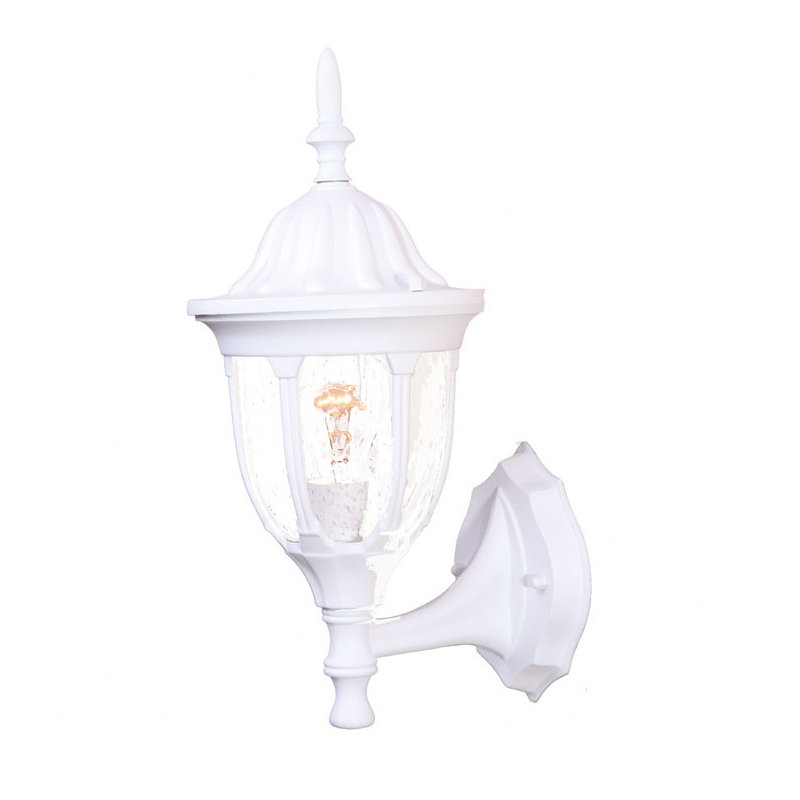 Pritchard Wall Light, Burled Walnut, Clear Seeded