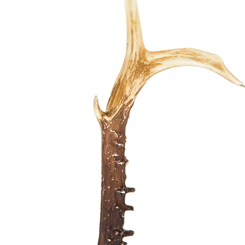Horn Deco Sculpture