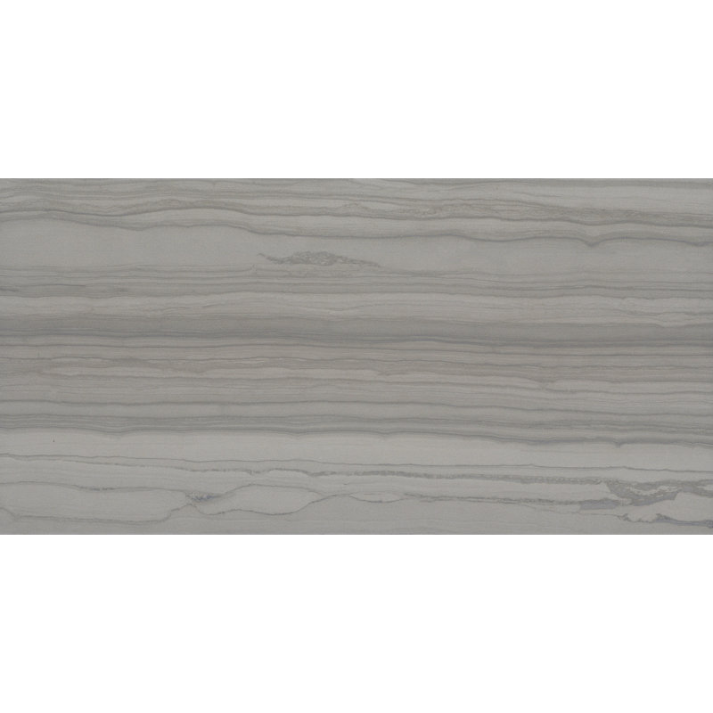Chronicle Memoir 12 in. x 24 in. Matte Porcelain Floor and Wall Tile (11.63 sq. ft./Case), Record