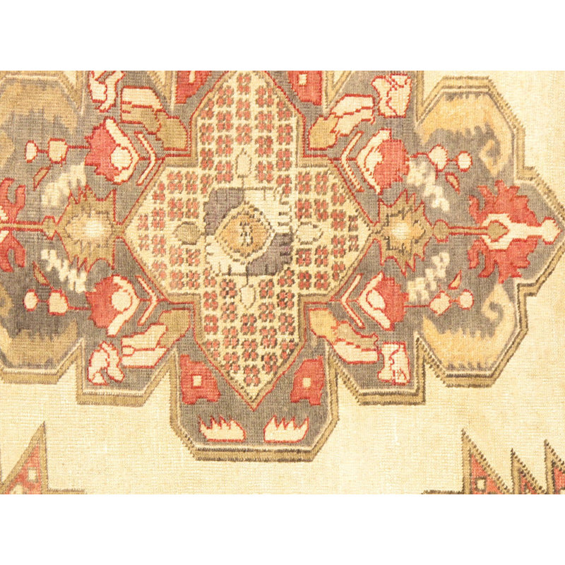 Oriental Area Rug in Ivory