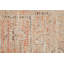Tapis décoratif à médaillon transitionnel orange / brun clair / ivoire Ramey-100851801