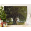 Pfaff Wrapped Canvas Print Set-1263631728