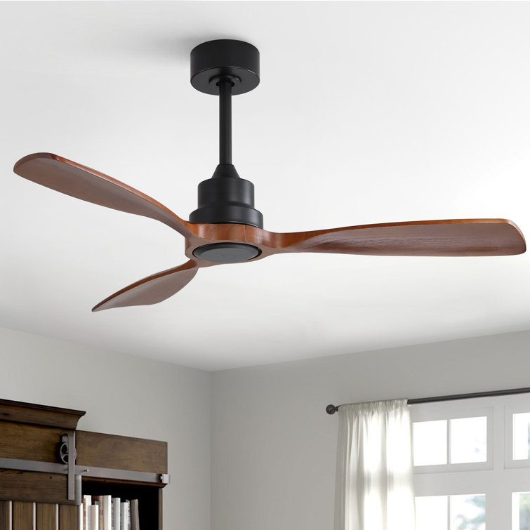 George Oliver Nicola 48'' Ceiling Fan & Reviews | Wayfair