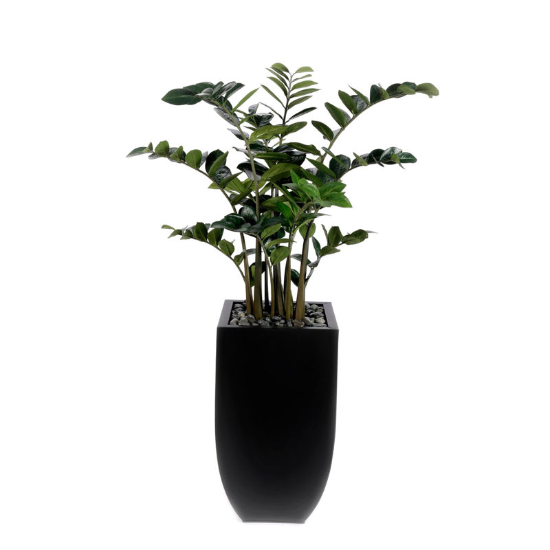 5'H Artifical Z Z Plant With Pebbles in Black Tin Planter