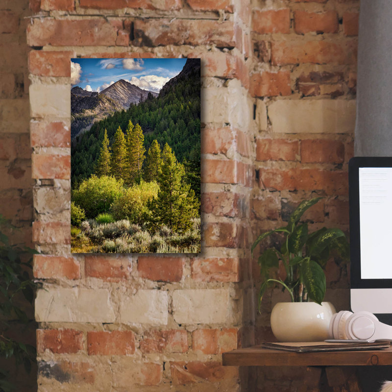 «Epic Graffiti» «In The Pioneer Mountains» par Rick Berk, art mural sur toile, 12 po x 18 po