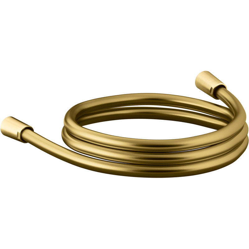 Awaken 60-In Smooth Shower Hose, Vibrant Brushed Moderne Brass