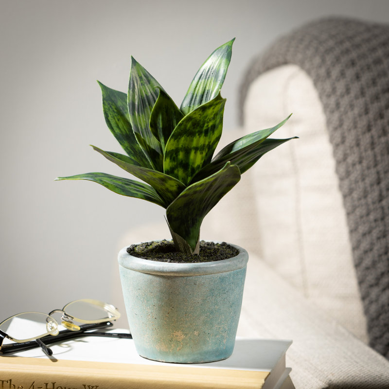 Plante artificielle en pot 6 "Sansevieria