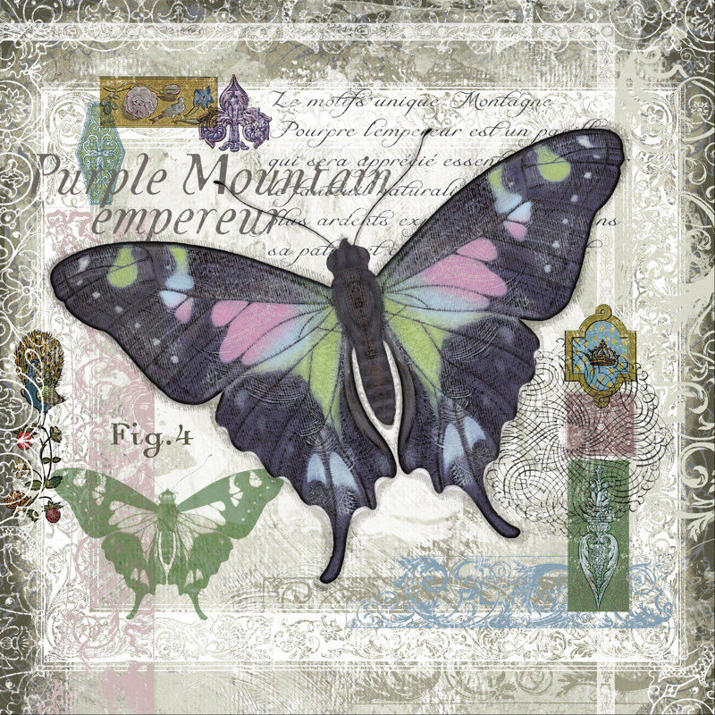 Butterfly Artifact IV by Alan Hopfensperger - Wrapped Canvas Print, 91cm H x 91cm W 