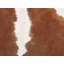 Spurgh Animal Print Cowhide Area Rug-978371203