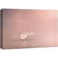 Cygne au lac rose pastel sur toile-93629214-93629207