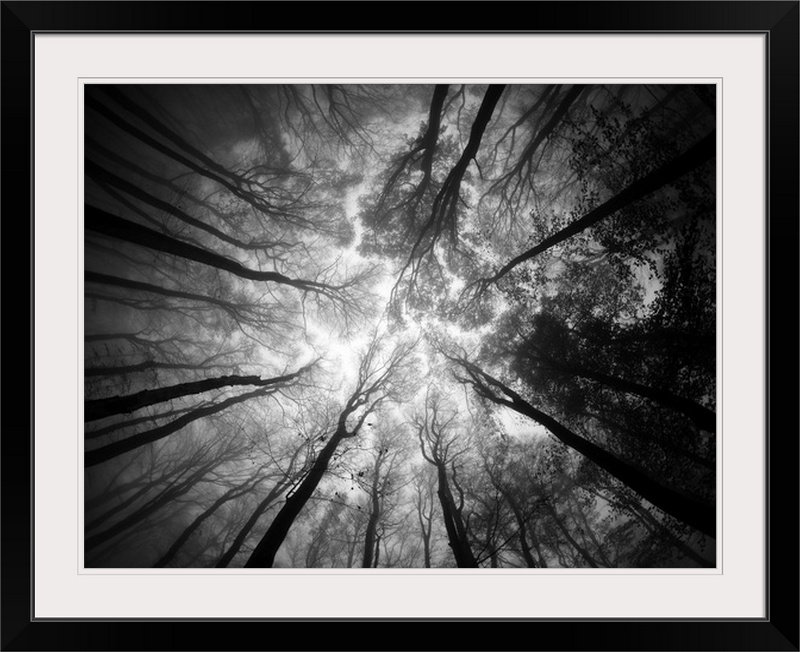 Straub, reproduction de photo, Cadre noir, H 35 po x l 44 po x P 1 po
