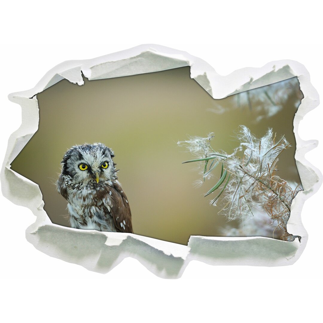 Wandaufkleber Small Screech Owl Admiring Leaf