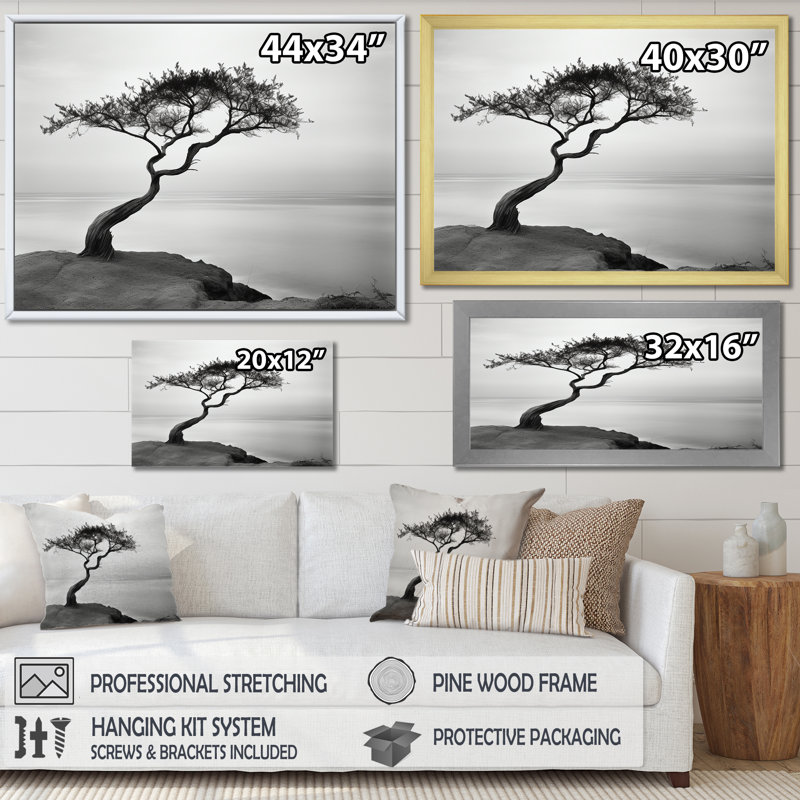 " Beach Solitude Tree Vision II ", 30" H x 40" W x 1.5" D, White Single Picture Framed