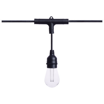 Starfish 48 Foot LED String Light 15-S14 Lamps IOT RGBTW Black 120V