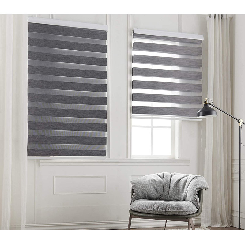 Dual Layer Day & Night Zebra Roller Blinds – Light Filtering Privacy Shades, Modern Window Treatment, Polyester Sheer & Solid Stripes for Living Room, Bedroom & Office