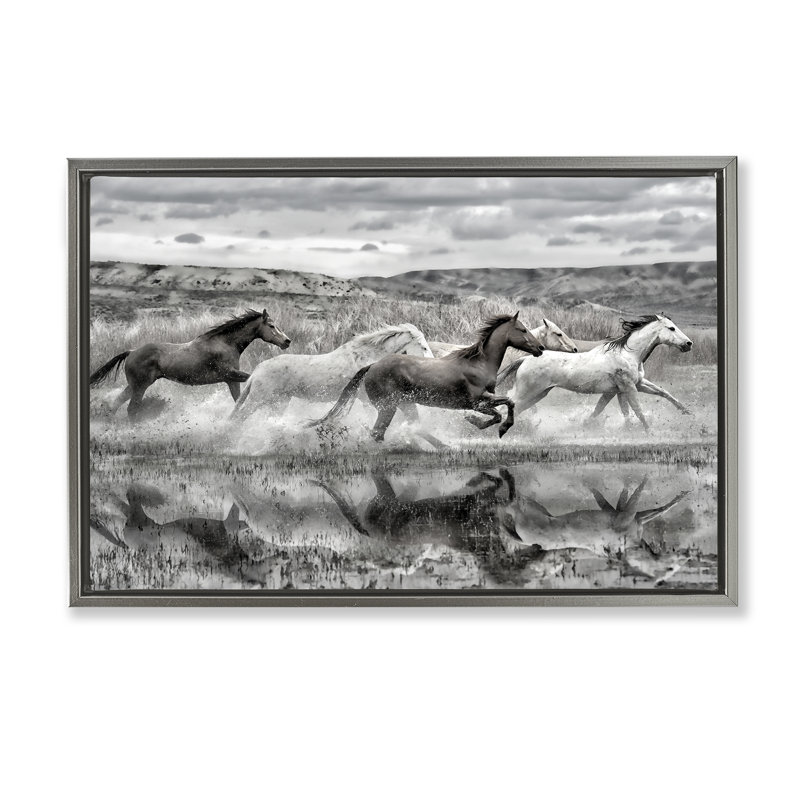 «Horses Splashing in Riverbank», art mural encadré sur toile flottante, design par PHBurchett, H 17 po x l 25 po