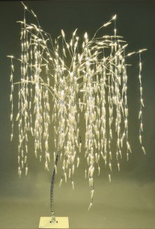Light Tree and Branches