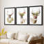 Collection Holiday B Deer-271487300-271487301