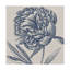 «Indigo Floral on Linen II» par Vision Studio - impression sur toile-926066901