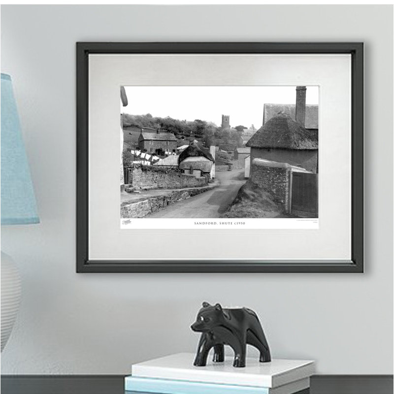 Sandford, Shute C1950 by Francis Frith - Single Picture Frame Print, 60cm H x 80cm W x 2.3cm D