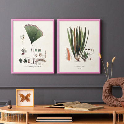 Fougères Botanical Society - reproduction encadrée de qualité supérieure - prête à être accrochée - aucun clou requis - aucun clou requis