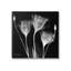 Ebern Designs Contemporary Tulip X-Ray Canvas Wall Art Design By Albert Koetsier-1176886659