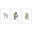 «Herb Trio Triptych», ensemble de 3 reproductions de peintures à l'aquarelle encadrées-24746847-29691106