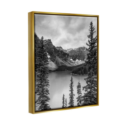" Woodland Pond Scenery "