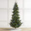 Sapin de Noël artificiel avec lumières Mcdaniel-1434613075