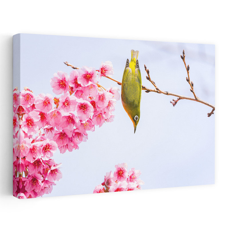 Vibrant Cherry Blossoms Bird by JUNKO TORIKAI - Wrapped Canvas Print, 152.4 cm H x 101.6 cm W
