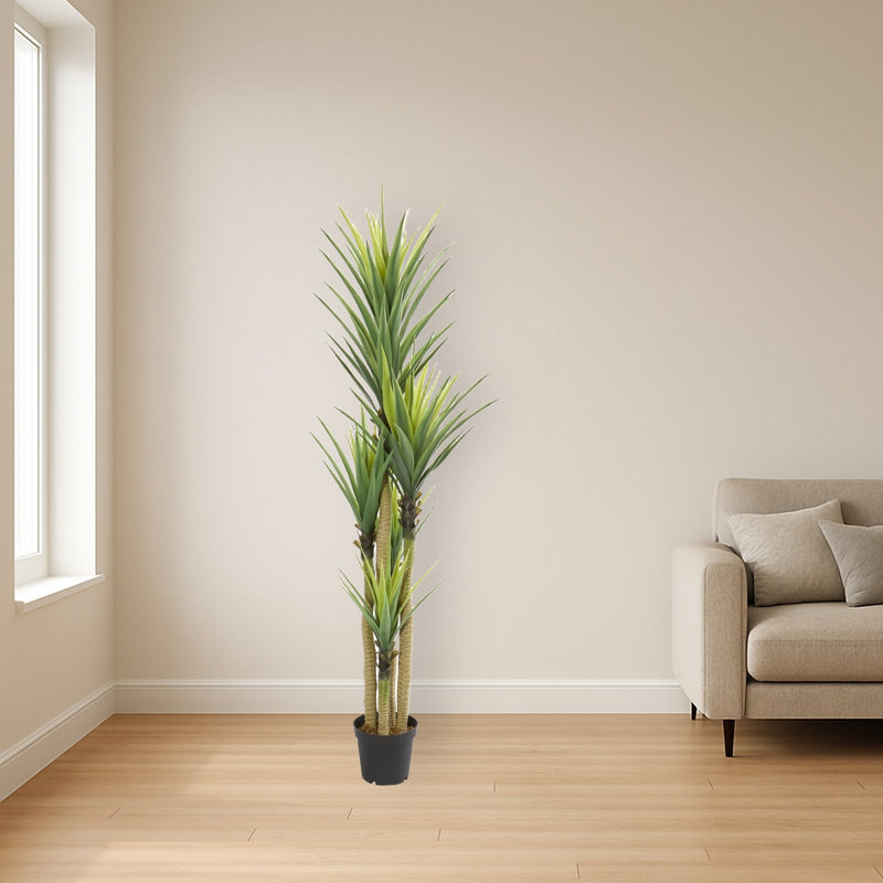 Dracaena Artificial Plant