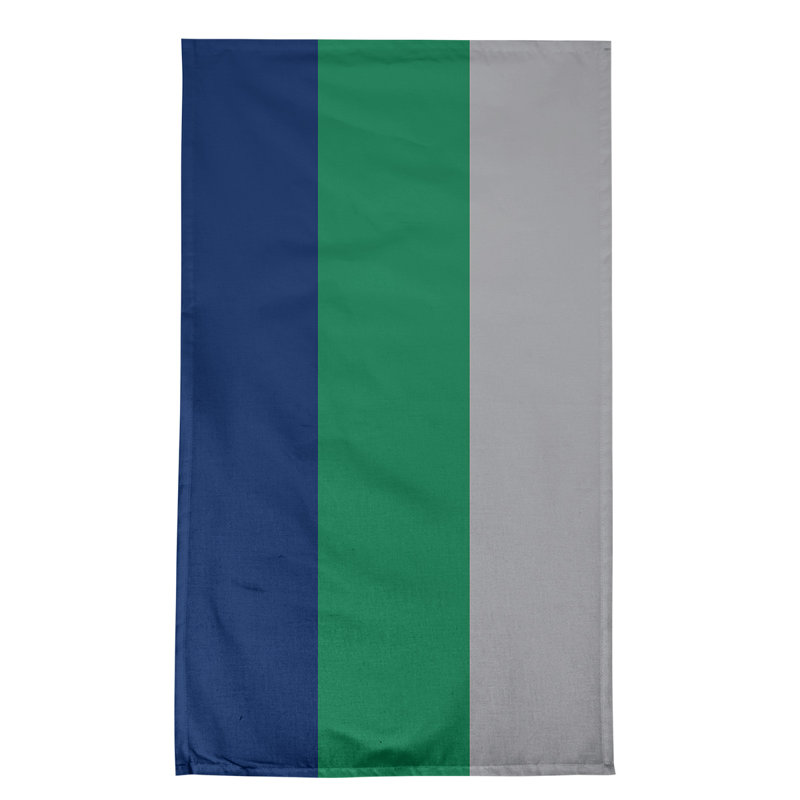 Serviette de thé hockey Anaheim, Bleu / vert / gris froid, Sergé de coton