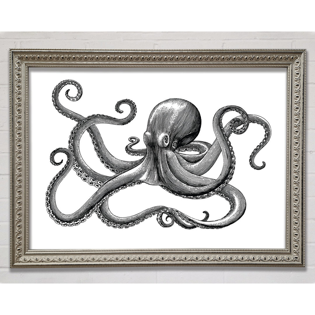 Oktopus Illustration - Druck