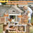 Large Chicken Coop With Two Nesting Box