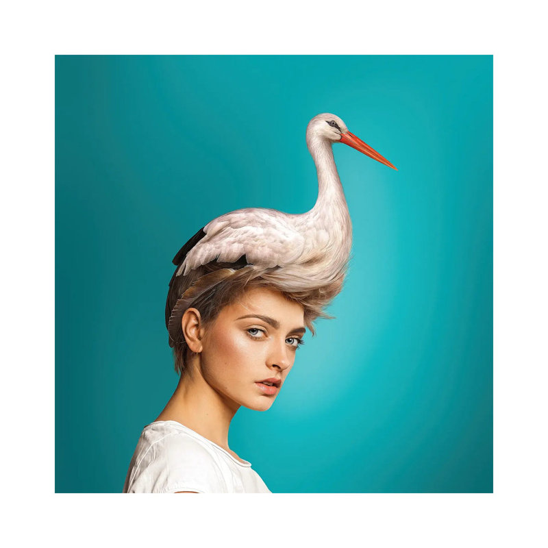 Hairstyle: Stork by Spielsinn Design - Gallery-Wrapped Canvas Giclée on Canvas, 30.48 cm H x 30.48 cm W, Canvas