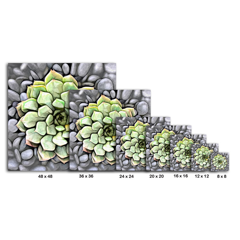 Cactus en pot 177 - reproduction sur toile tendue, H 8 po x l 8 po x P 1,5 po