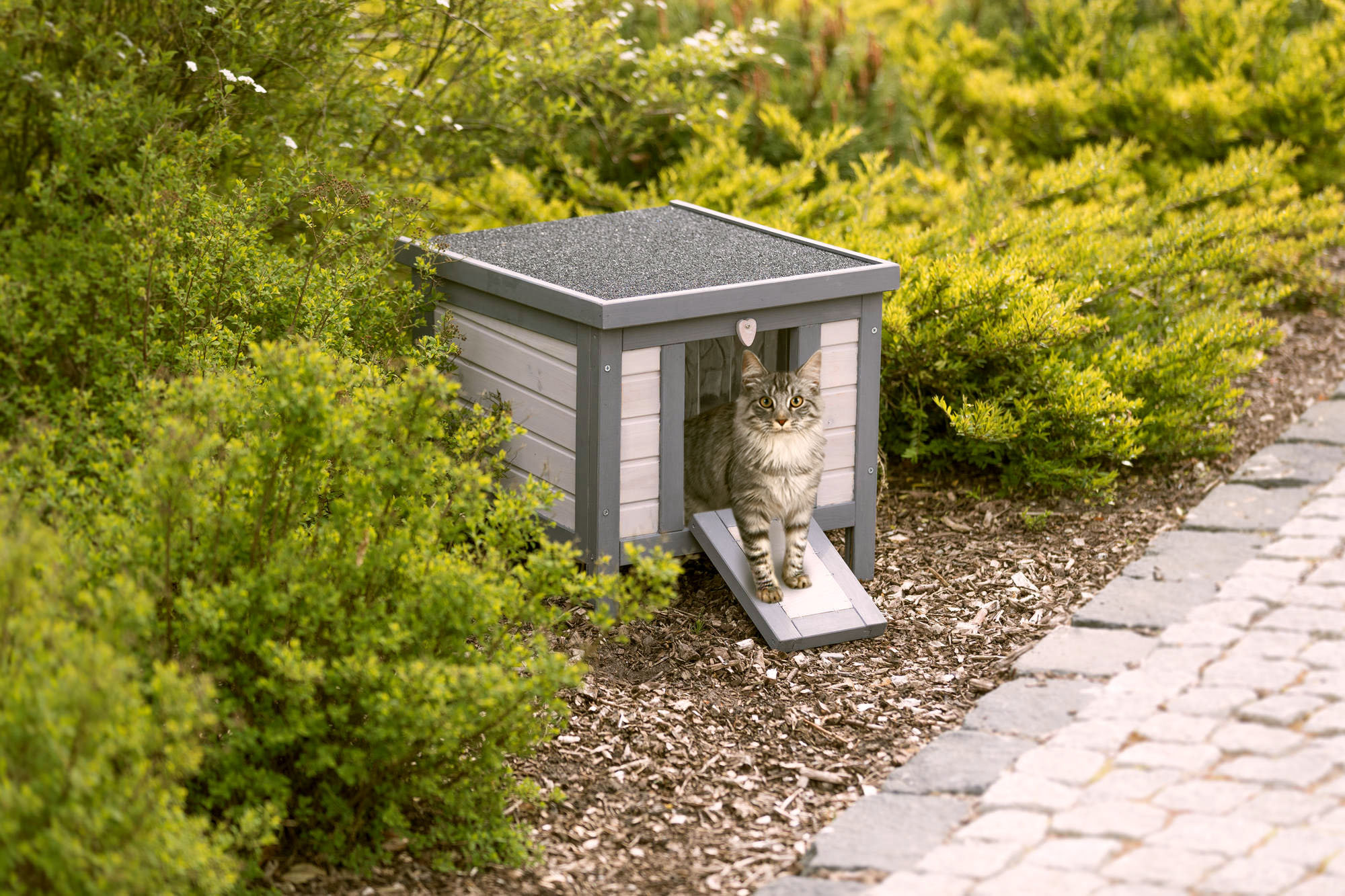 Tucker Murphy Pet™ Drexell Outdoor Cat House with Heated & Reviews