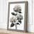 Taupe Border