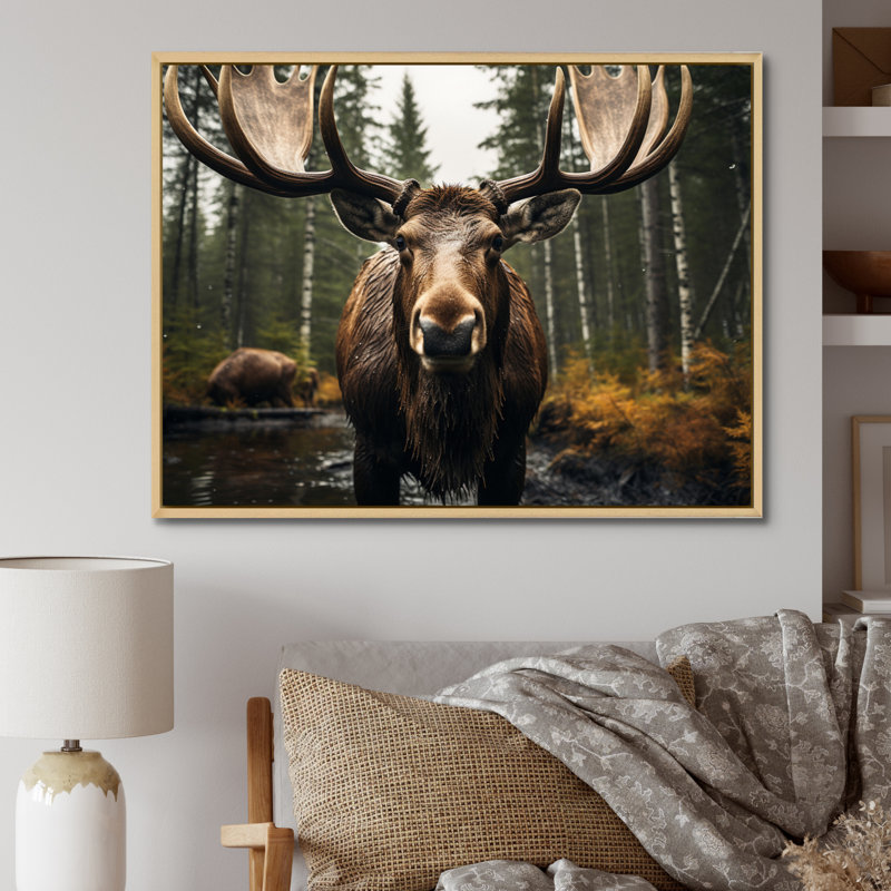 «Brown Yellow Moose Majestic», reproduction sur toile, H 12 po x l 20 po x P 1 po, Cadre naturel flottant