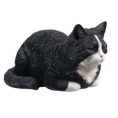 Chat tigré noir et blanc au repos