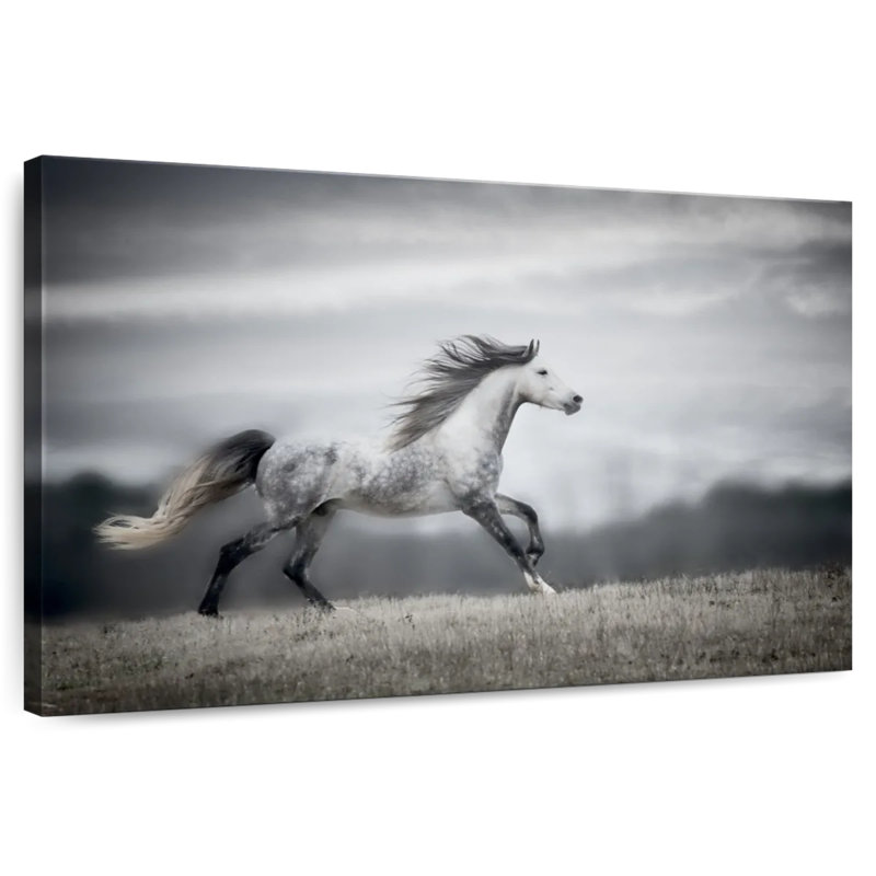 Brampt Wind Blown Mane II, 30" H x 45" W